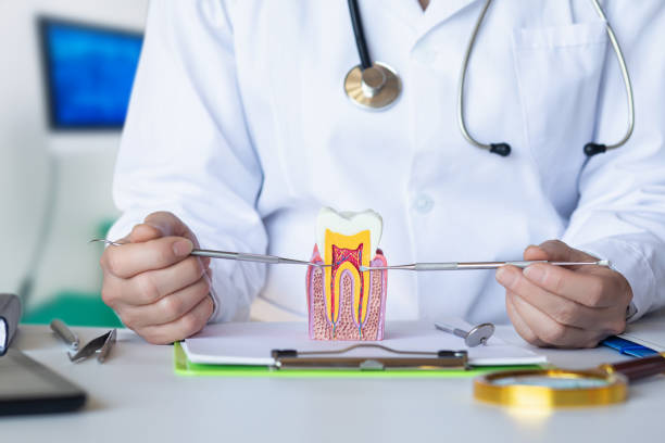 Best Emergency Dental Care for Abscessed Tooth in Dennis Port, MA